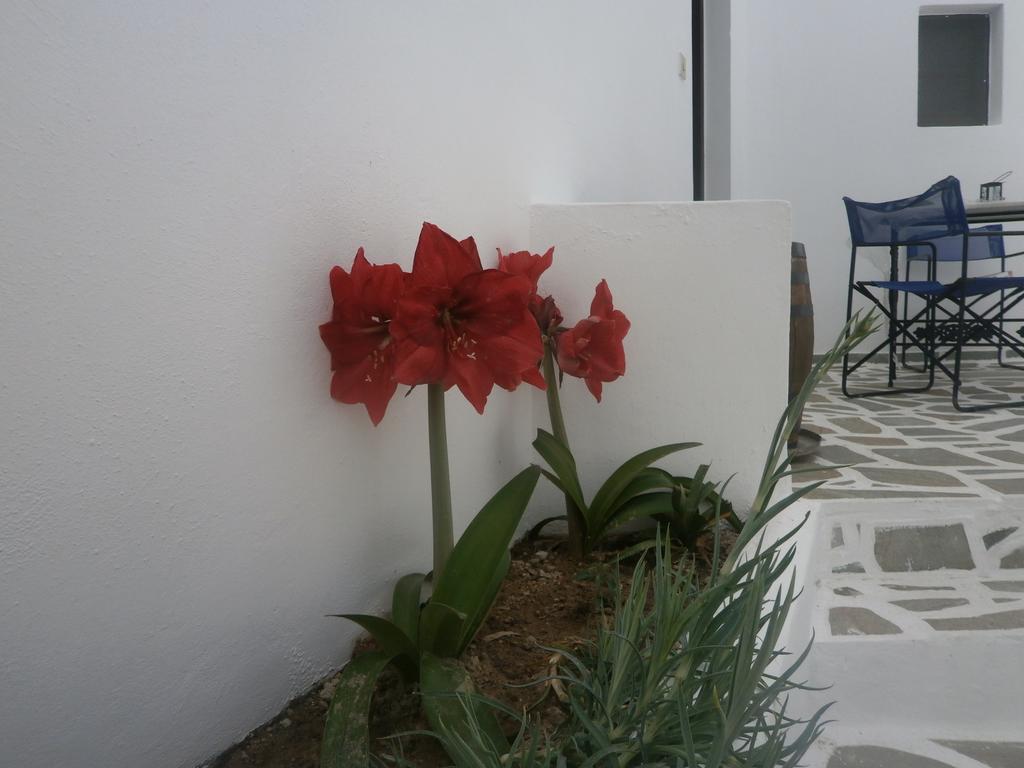 Villa Ostria Kamári Extérieur photo